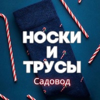 Носки и трусы | Садовод К.А 2-1-21/1