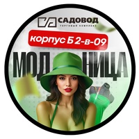 МОДНИЦА К.Б 2В-09 Женская Одежда