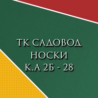 Носки | Нижнее белье |  ТК Садовод к.А 2Б-28