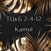 Садовод ТЦкБ 2-4-12 Kamol