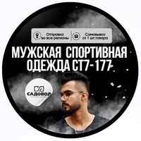 Мужская спортивная одежда СТ7-177 ТК Садовод