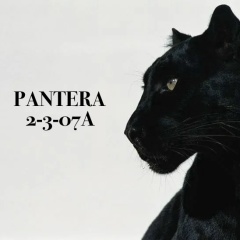 PANTERA 2-3-07A { Корпус Б }