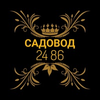 ShOP LEDY Рынок Садовод  24-86