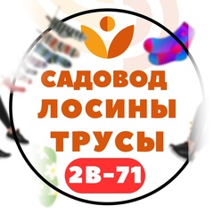 НОСКЫ ТРУСЫ ЛОСИНЫ КОЛГОТКЙ К-А 2В-71