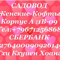 Садовод 1В-09 женские кофты