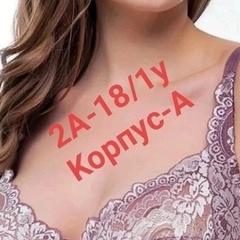 2А-18/1У:КОРПУС-А