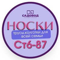 Носки и труси СТ6-87 рынок Садовод