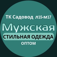 Мужская стильная  одежда Оптом 15-17