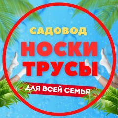 НОСКИ ТРУСЫ | ТК САДОВОД | К-Б 2-3-26а