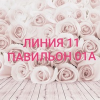 Алена Духова