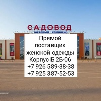 Фазл Лолаев