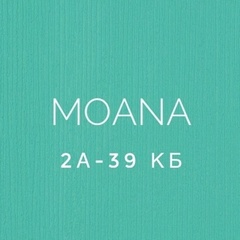 MOANA | Садовод 2А-40 корпус Б