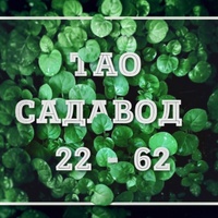 ТАО 22-62 женская одежда