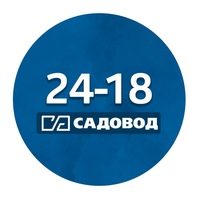 В ТРЕНДЕ Садовод 24-18 (носки, колготки, джинсы)