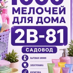 2В-81   1000 мелочей