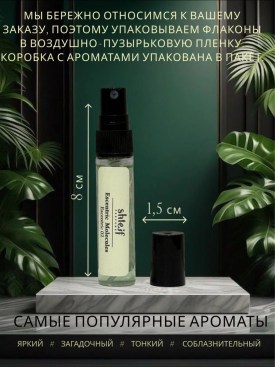 Одежда