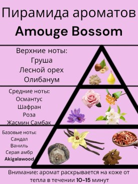 Одежда