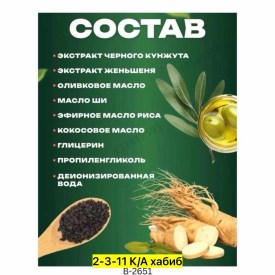 Одежда