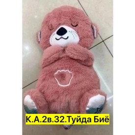 Одежда