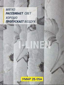 Одежда