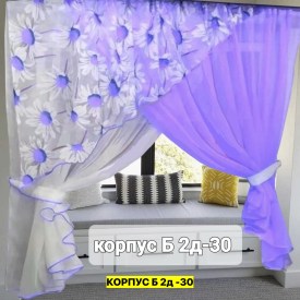 Одежда