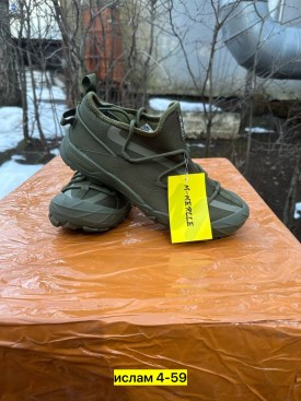 Одежда