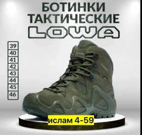 Одежда