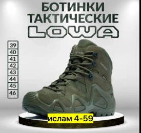 Одежда
