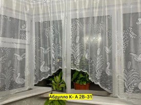 Одежда