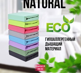 Одежда
