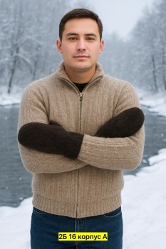 Одежда