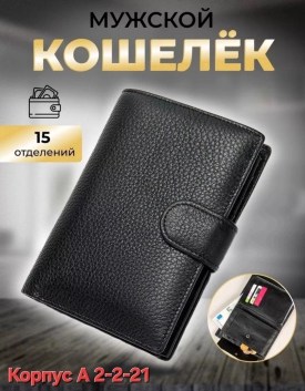 Одежда