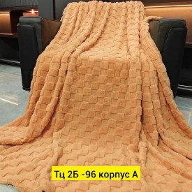 Одежда