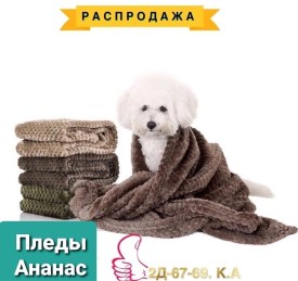 Одежда