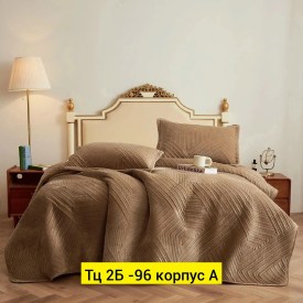Одежда