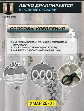 Одежда