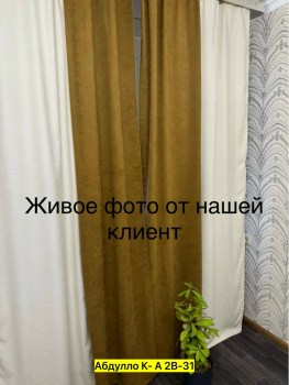Одежда