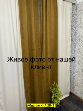Одежда