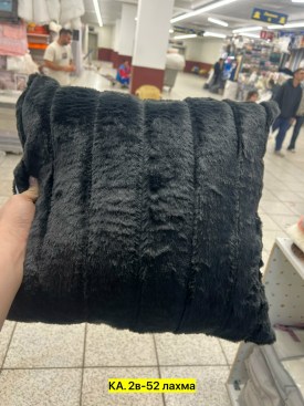 Одежда