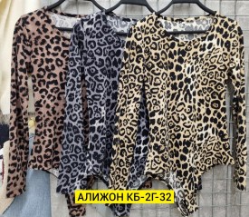 Боди