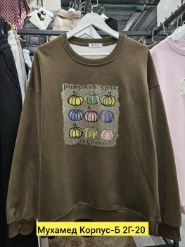 Толстовка
