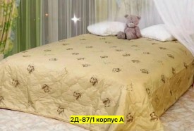 Одежда