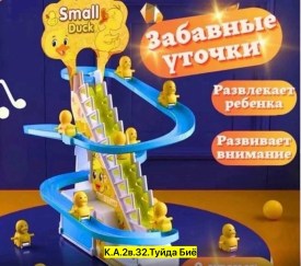 Одежда