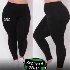 Лосины