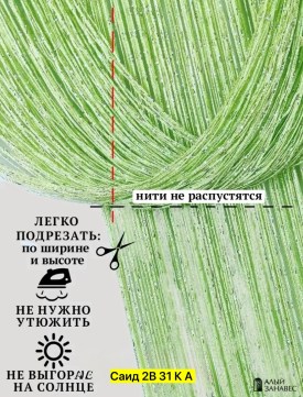 Одежда