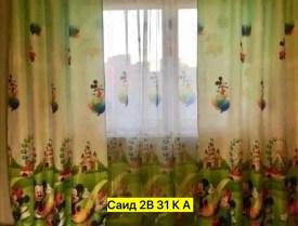Одежда