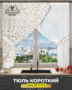 Одежда