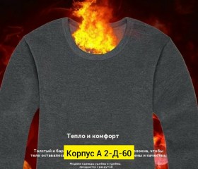 Одежда