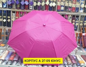 Одежда