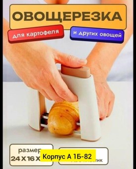 Одежда